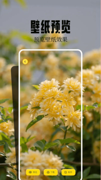 火花壁纸截图1