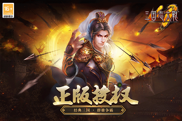 三国志大战截图3
