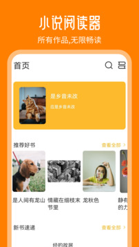 天天追书app截图3