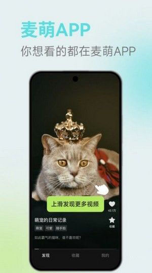 麦萌短剧官方版截图1