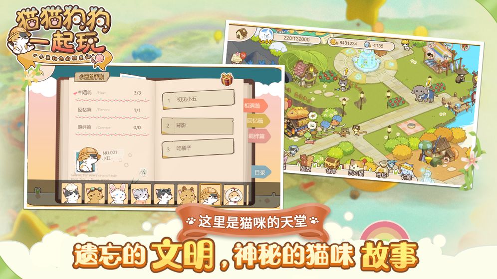 猫猫狗狗一起玩截图2