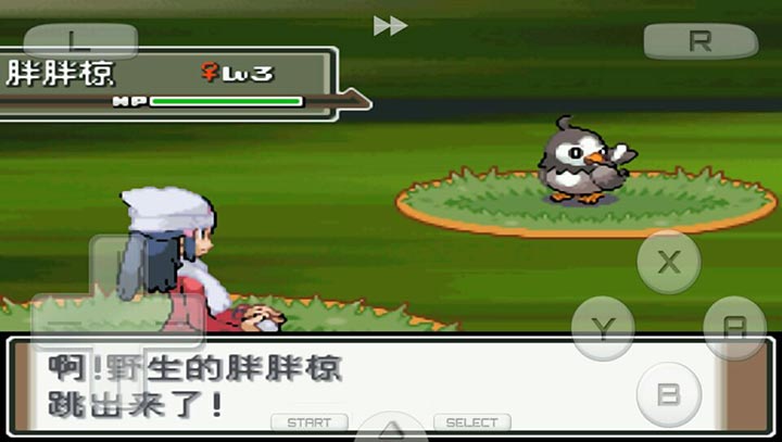 口袋妖怪白金截图3
