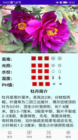 灵尚绿植宝app截图5