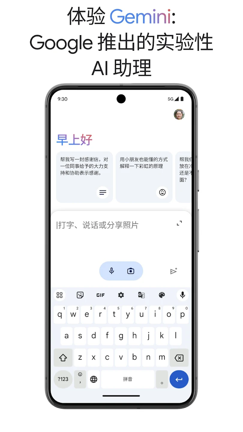 gemini截图4
