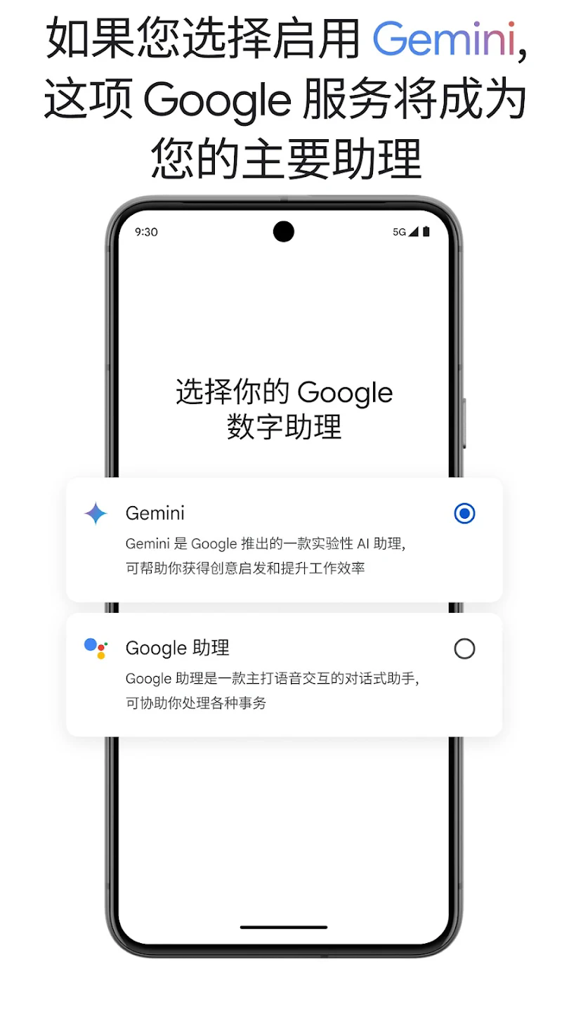 gemini截图2