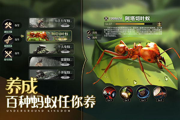小小蚁国安卓版截图1