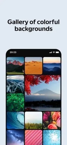 俄罗斯引擎浏览器截图1