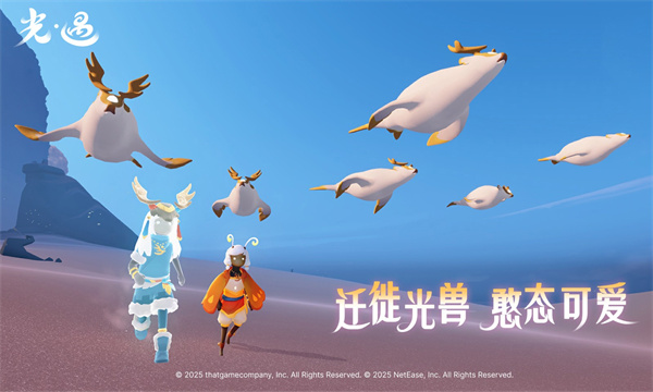 光遇游戏截图3