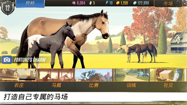 家族传奇马匹养成竞技截图4