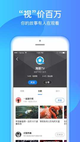 海豚tv官方最新版截图1
