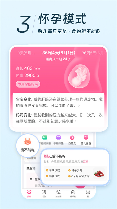 美柚app官方最新版截图4