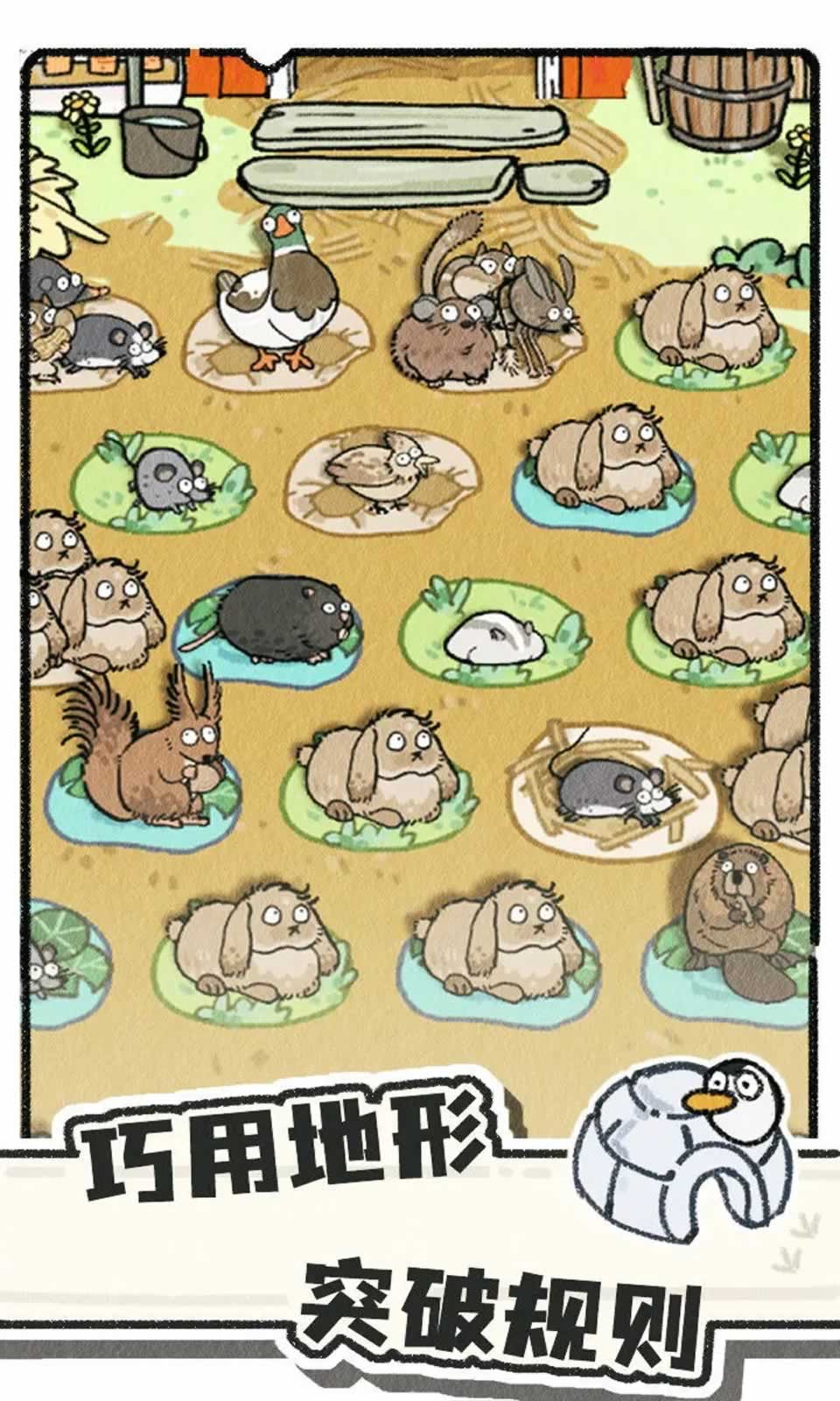 猫神牧场官方安卓版截图3