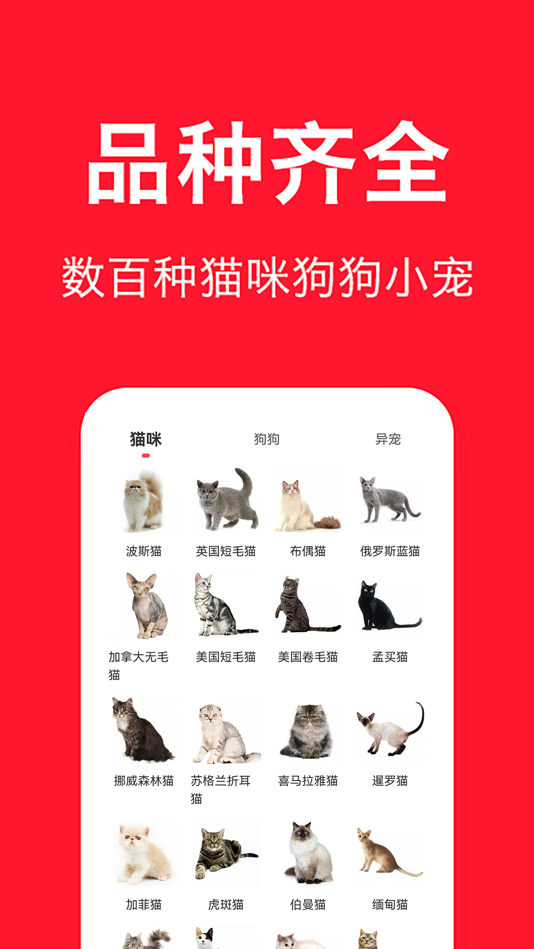 宠物宝截图1