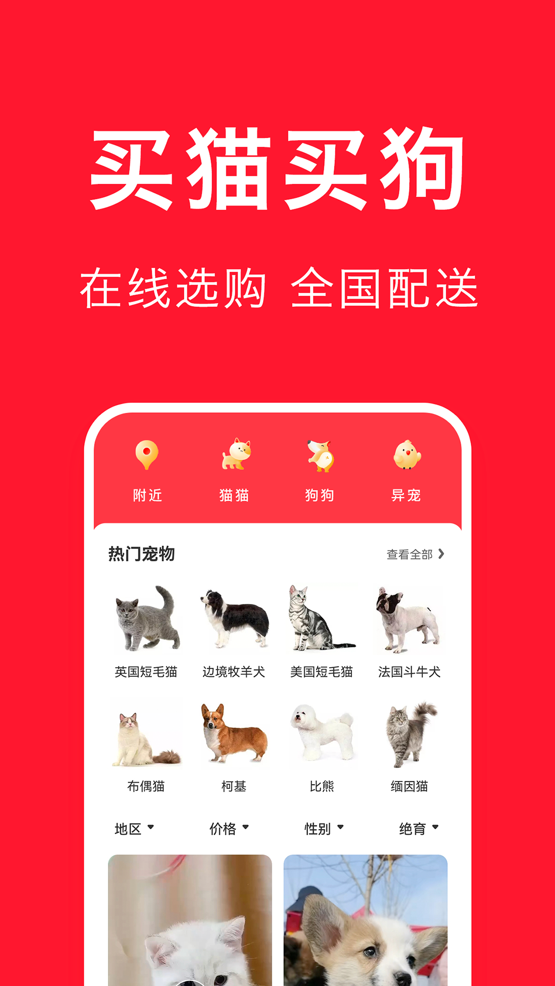 宠物宝截图2