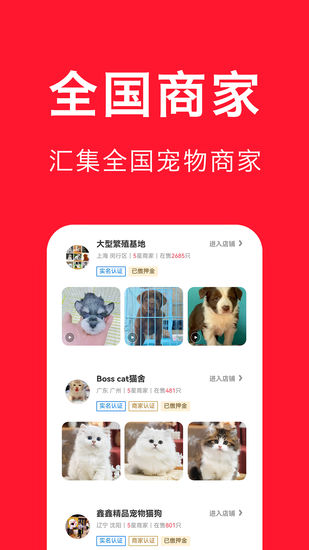 宠物宝截图4