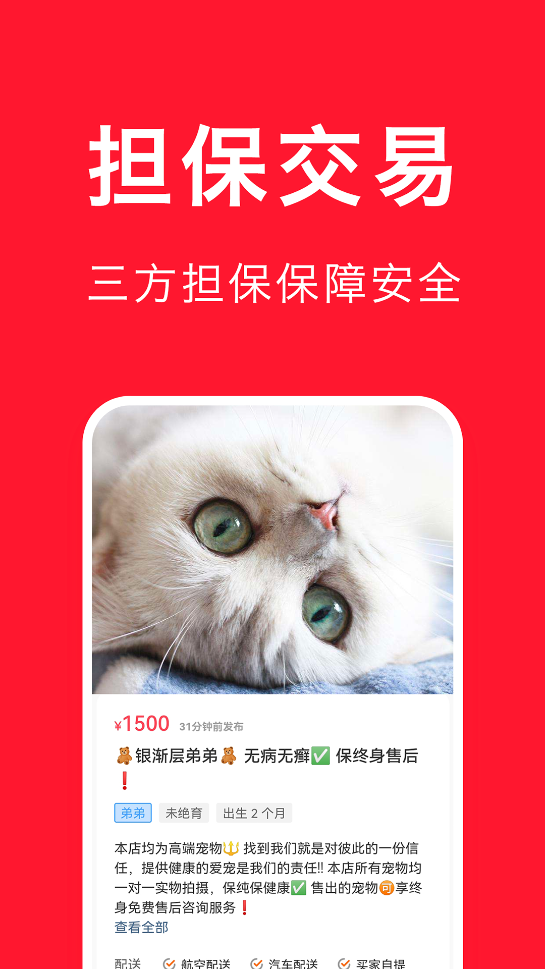 宠物宝截图3