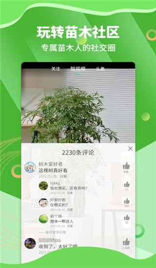 苗木通截图2