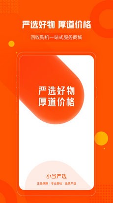 小当严选app截图2