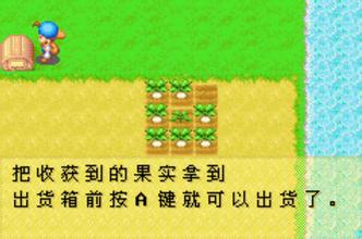 牧场物语矿石镇的伙伴们截图1