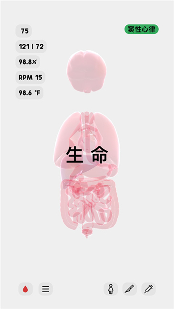 生命life截图4