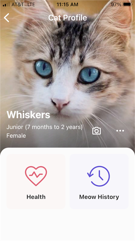 meowtalk喵说截图4