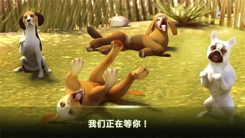 我的寄宿狗屋截图1