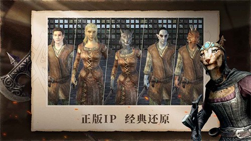 上古卷轴刀锋截图2