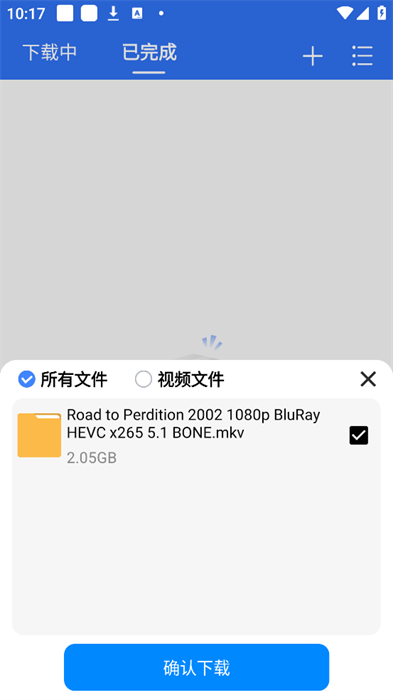 飞流下载器app截图3