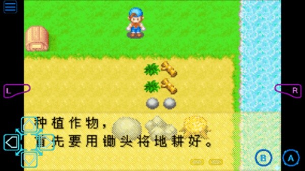 牧场物语截图4
