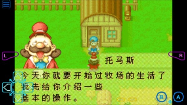 牧场物语截图3