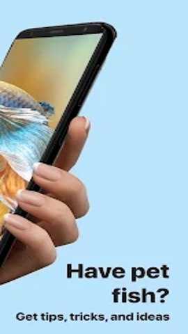 Picture Fish截图3