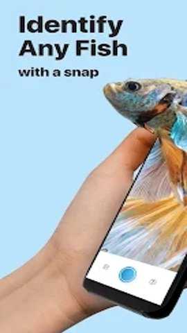 Picture Fish截图2