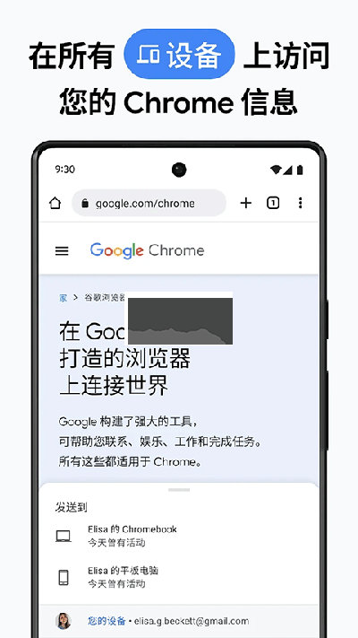 Chrome Canary截图2