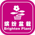 缤纷盆栽网上销售平台下载