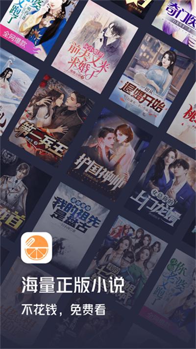 青橙小说app截图3