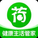 荷叶健康