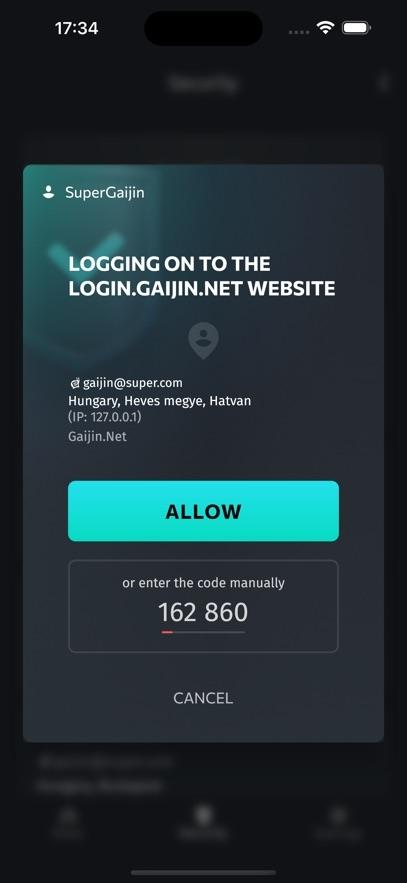 Gaijin Pass截图3