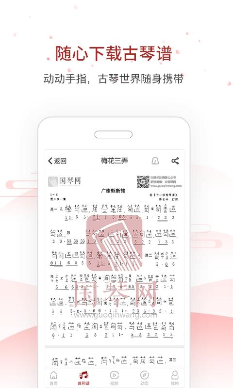 国琴网截图2