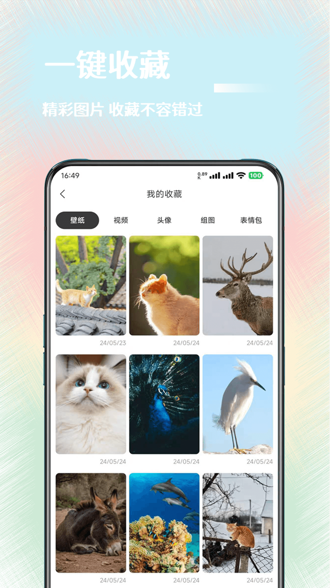 氧气壁纸截图4