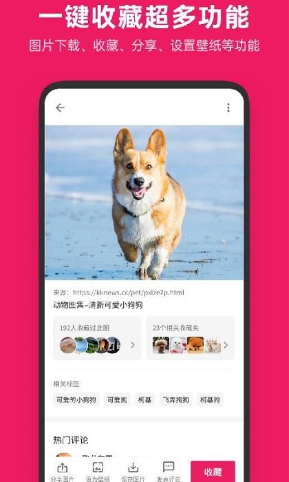 图片搜搜截图3