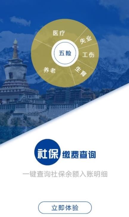 拉萨掌上社保截图3