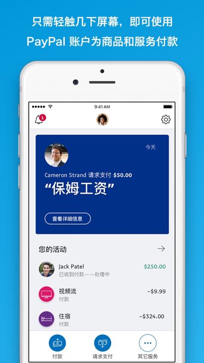 paypal支付截图3