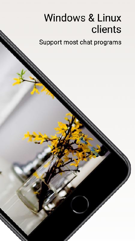 droidcam摄像头截图4