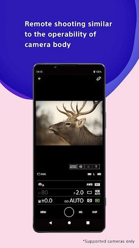 索尼Creators截图1