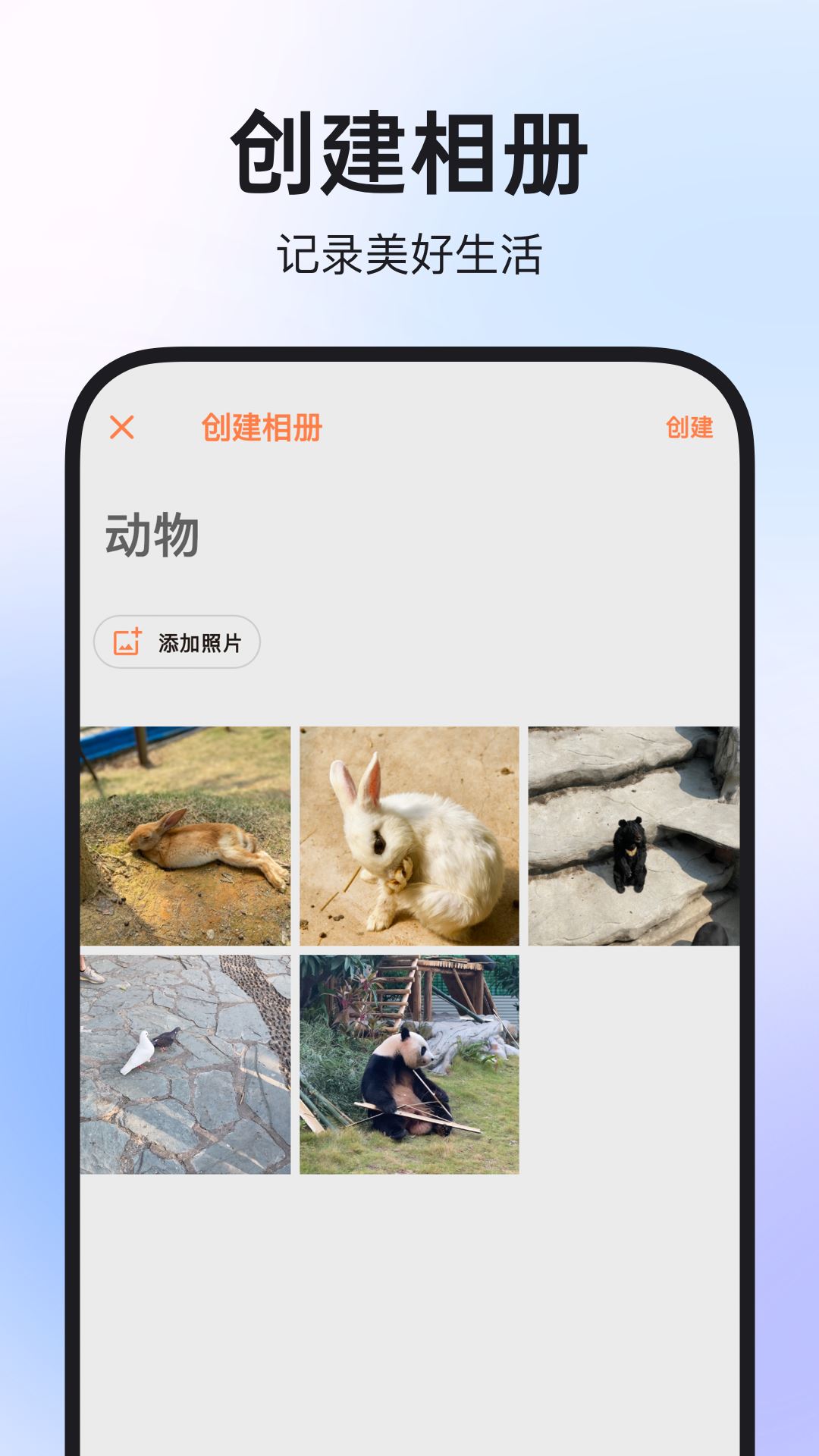 图公主截图4