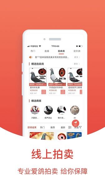 搜鸽天下截图2