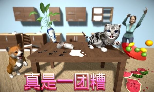 猫咪模拟器截图3