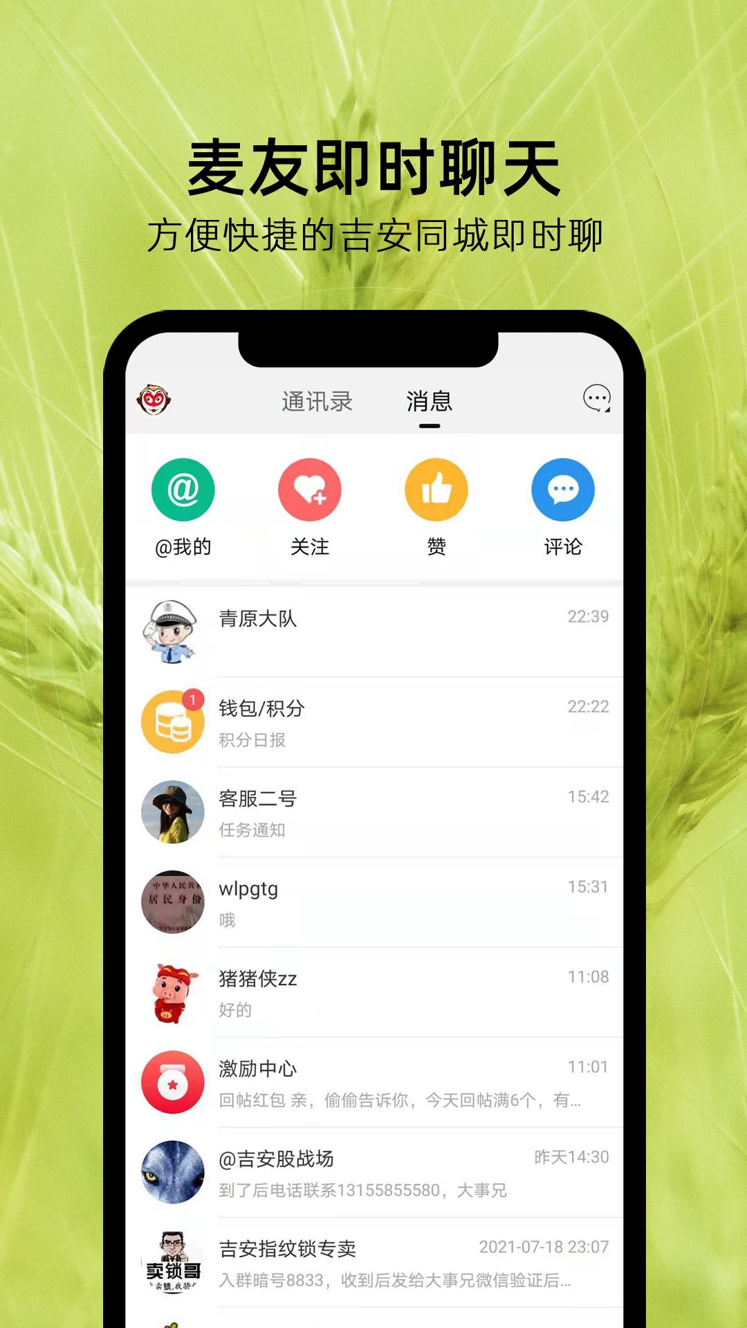 麦地网截图4