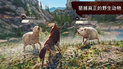 狼族截图1
