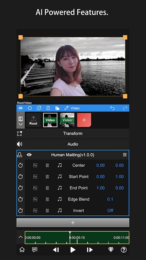 nv剪辑截图2